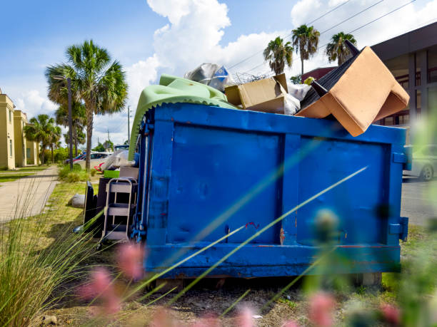 Best Basement Cleanout Services  in Elmhurst, IL